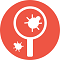 Custom Software Development